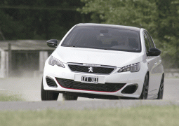 Peugeot 308 S GTi 19