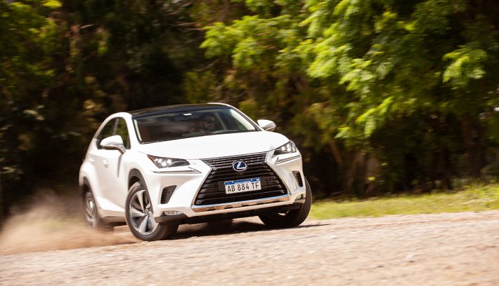 Lexus NX 300 3