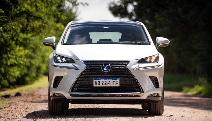 Lexus nx 300h