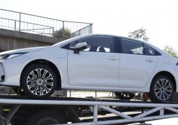 Corolla hibrido 1 e1574346286695