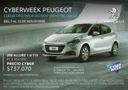 CyberWeek 208