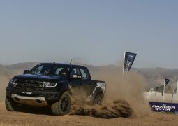 raptor