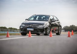Nuevo Corolla Master Test alce