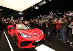 stingray 2020 1