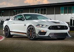 mustang foto