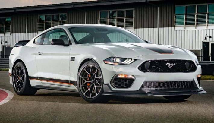 mustang foto