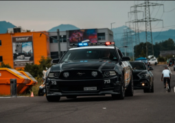 polimustang