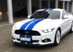mustang cannigia 1