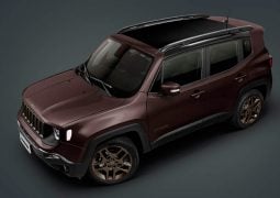 JEEP RENEGADE BRONZE EDITION