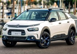 CITROEN C4 CACTUS RIP CURL