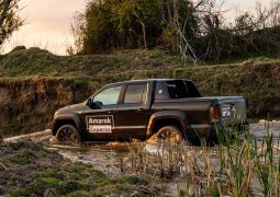 volkswagen amarok experto