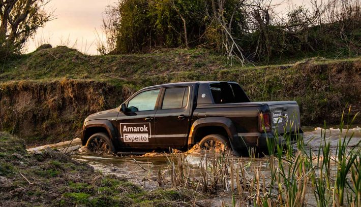 volkswagen amarok experto