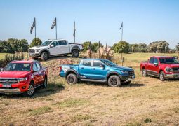 FORD RAZA FUERTE