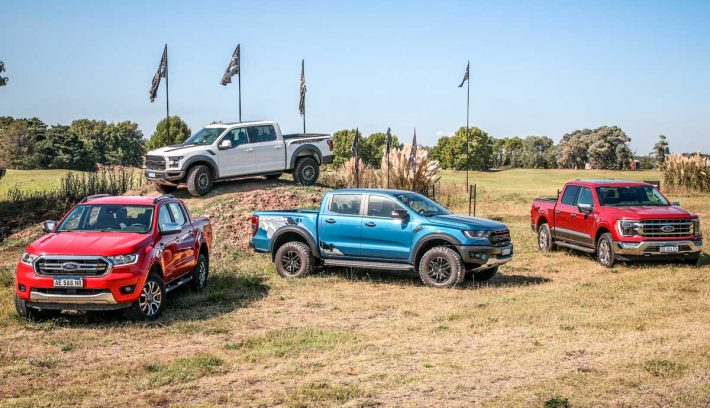 FORD RAZA FUERTE