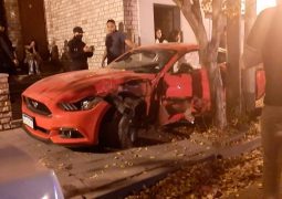 MUSTANG PICADAS