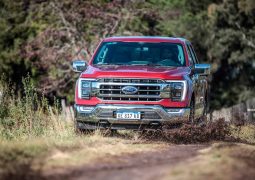 Ford-F-150-trompa