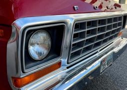 Ford F-100 deluxe parrilla