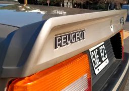 Peugeot 505 SR Injection
