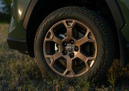 Toyota RAV4 Woodland llanta