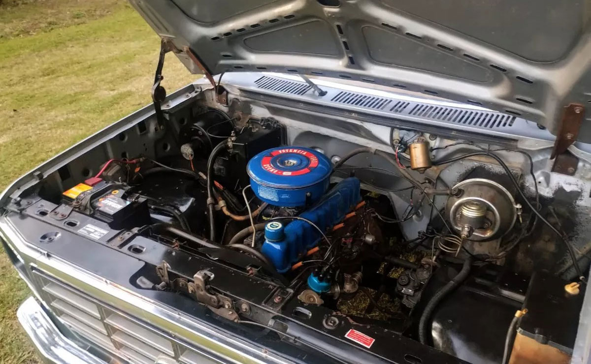 Ford F 100 motor