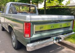 Ford F 100 trasera