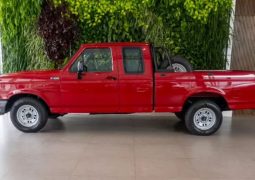 Ford F 100 perfil