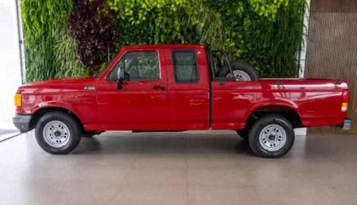 Ford F 100 perfil