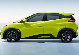 Auto BYD Dolphin Mini perfil