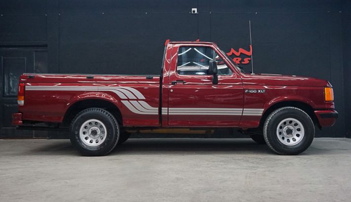 FORD F100 1995 PERFIL