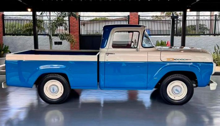 Ford F 100 loba perfil