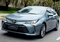 Toyota Corolla XLI accion