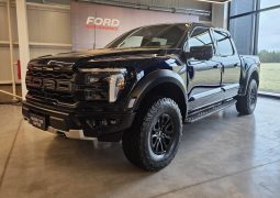 Nueva Ford F 150 Raptor frente