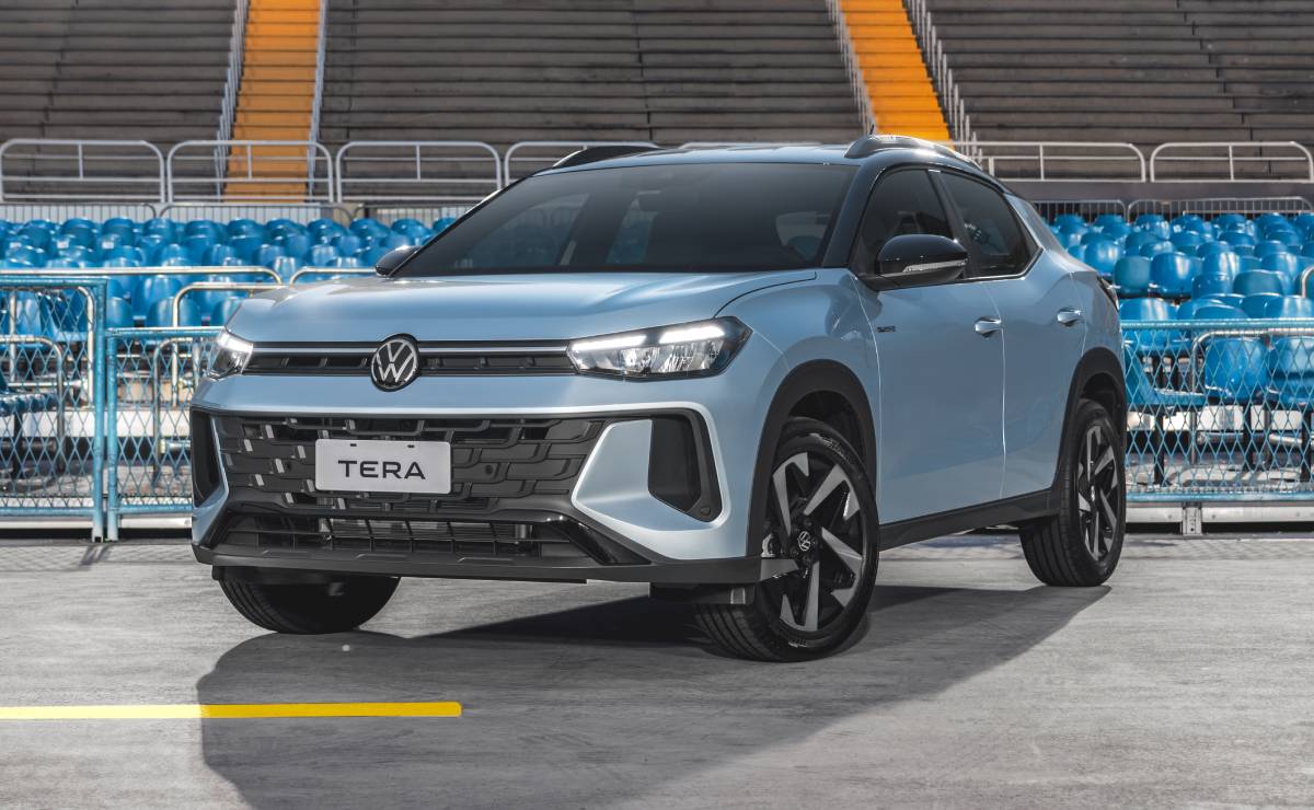 Volkswagen Tera frente 1