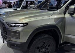 Pick up Chery Himla trompa 1