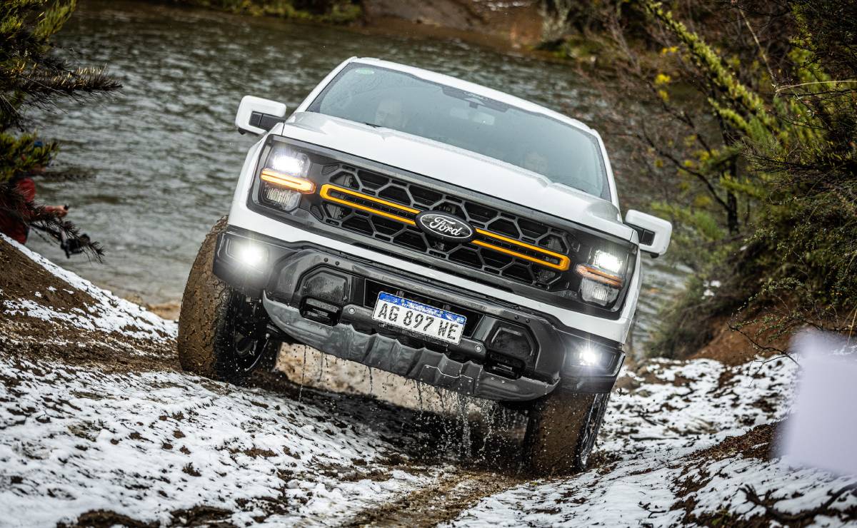Ford F 150 Tremor accion