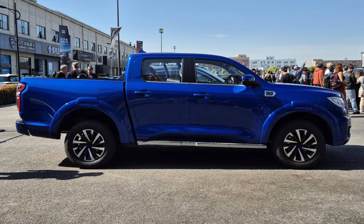 Pick up GWM Poer perfil