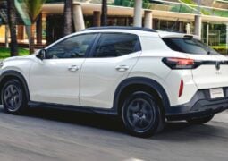 Volkswagen Tera MPI accion