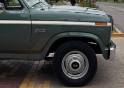 Ford F 100 1986 perfil