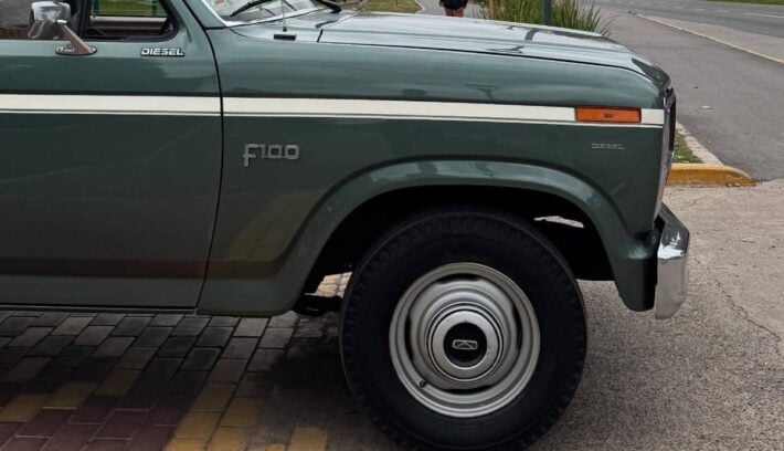 Ford F 100 1986 perfil