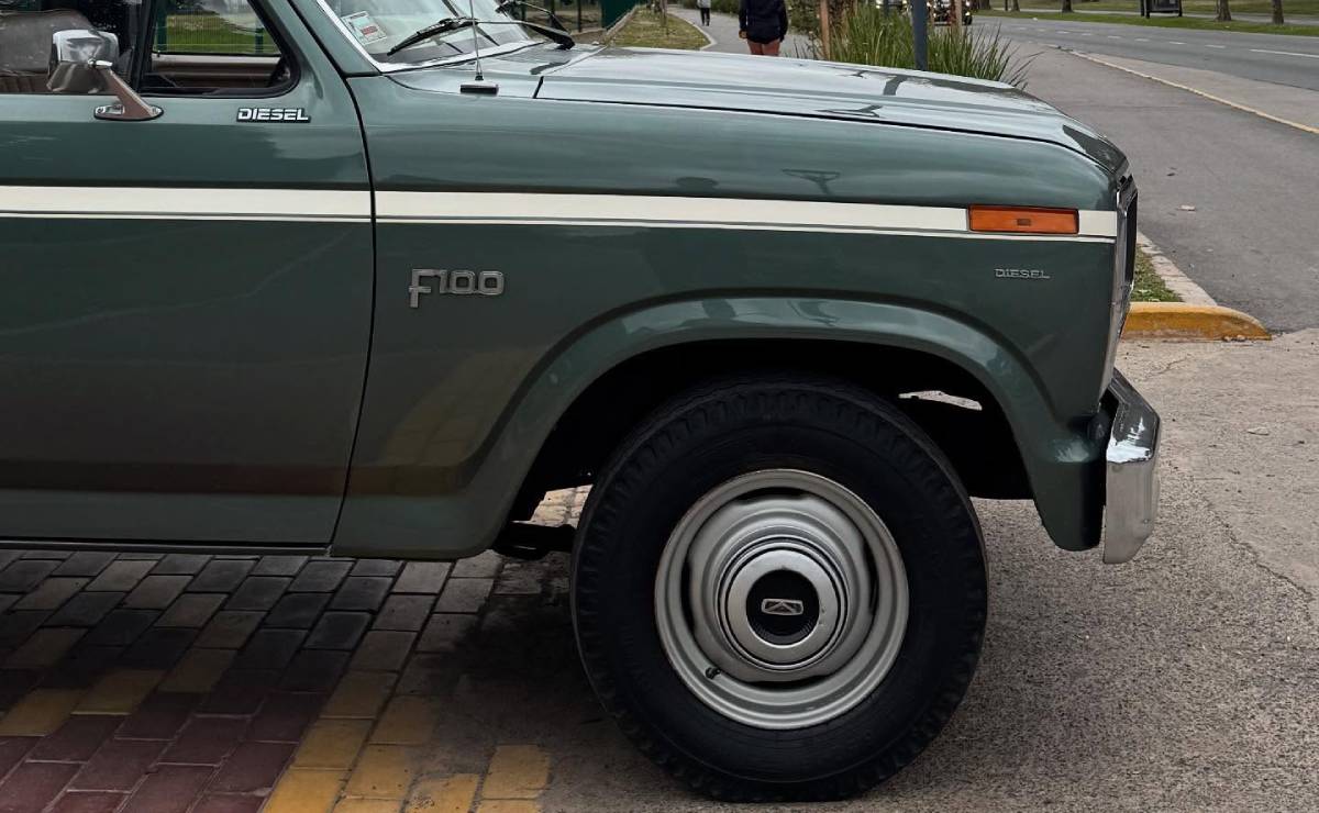 Ford F 100 1986 perfil