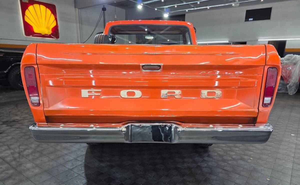 Ford F 100 1980 cola
