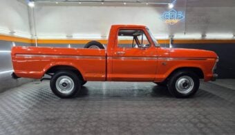 Ford F 100 1980 perfil