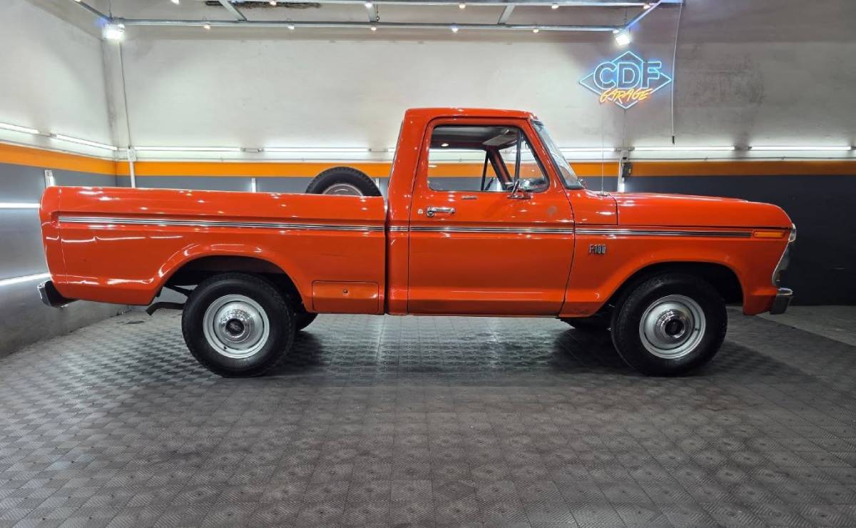 Ford F 100 1980 perfil
