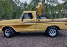 Ford F 1000 1990 perfil
