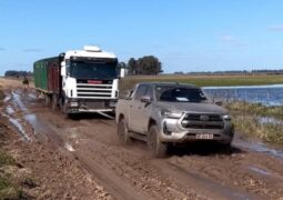 Viral Toyota Hilux campo