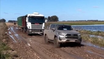 Viral Toyota Hilux campo
