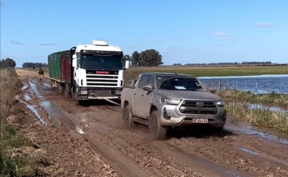 Viral Toyota Hilux campo