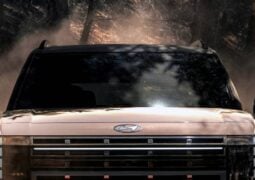 Pick up Hyundai trompa 1