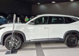 Renault Boreal Techno perfil