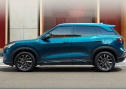 BYD ATTO 2 DM i perfil